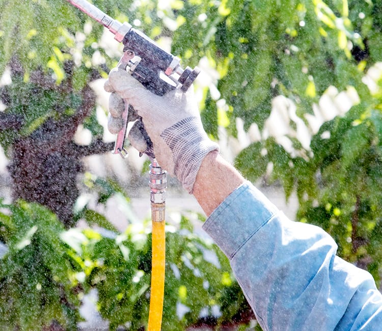 安心して暮らせる、快適な生活のお手伝い　害虫・害獣の駆除ならお任せください